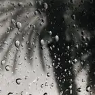 مطعم للتقبيل فطائر وبتزا بينبع حي البلد