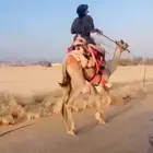 هجن