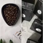 محاصيل القهوة المختصه بحمصه موزونه 49 ريال