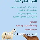 سواكن أضاحي مرابي