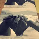 لوحات كانفس