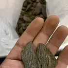 عود