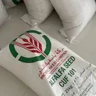 باسفيك بذور 101