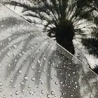 مطعم بيتزا فطائر للتقبيل بينبع