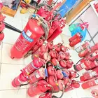 fire extinguisher fire pump fire alarm cylinder riffiling