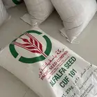 برسيم باسفك