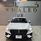 فاو بيستون t 77