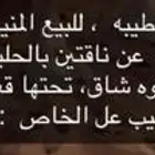 يامدورين المنايح يأهل الحليب طلبكم موجود