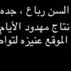 قعود عقابي فاخر