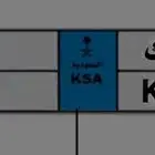 الاحساء لوحة مميزة 40 نقل