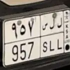 لوحه مميزة للبيع