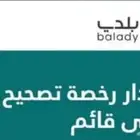 فرز الوحدات العقارية وتحديث الصكوك ورخص البناء