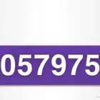 رقم 511 موبايلي