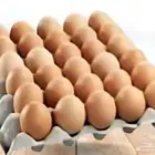 بيض بلدي