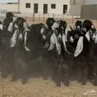 جذعات عوارض طيبه العدد 24 بالفحول 5