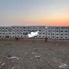ترخيص وتصريح لدعم النحل