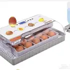 للبيع فقاسه اخت الجديده