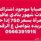 تبوك الدخل 2 حي الروضه