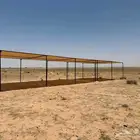 مضلات الابل مضلات الأغنام