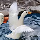 بط بكيني منتج