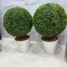شجر ديكور