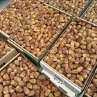 تمر سكري القصيم فاخر