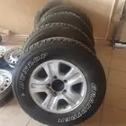 جنوط اصلي وكالة شرط