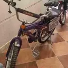 رامبو الاصلي