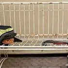 بلاط انتر لوك وكرسي حديد هزاز. مجانا .