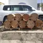 الباحه للبيع خلاياء نحل