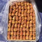 سكري جالكسي فاخر من مزارعنا بالقصيم منقى حبه حبه