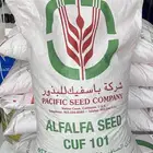الخفجي