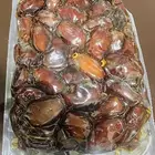 عرض للبيع   تمر خلاص حساوي فاخر 2025