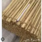 الخيزران للبيع جملع