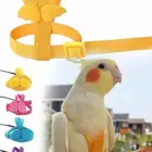 حزام الامان للطيور