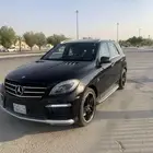 ML 2013 ml 2013