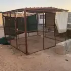 عشه 3 3 شبك بقلاوه