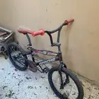 سيكل كوبرا