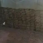 برسيم مخلوط اكثرو انجيلة