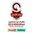 ذبايح بلدي ع الشرط (ذبح تغليف توصيل مجانا ) يتوفر تابي وتمار