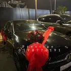 تشريع سيارات عرسان عند الموقع