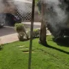 رذاذ وضباب