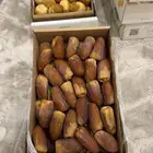 تمور
