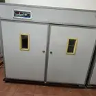 فقاسة بيض كبيره.