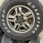 جنوط لكسز للبيع