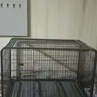 قفص حديد كبير جديد ونظيف
