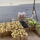 فواكه خضار تمر شاهي جمر شوي ذره رمان بيده