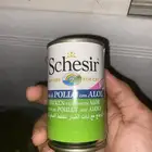 أكل رطب للقطط شيزر