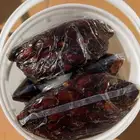 يوجد تمر حلوه الجوف شغل هالسنه فاخر