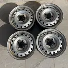 جنوط بلد